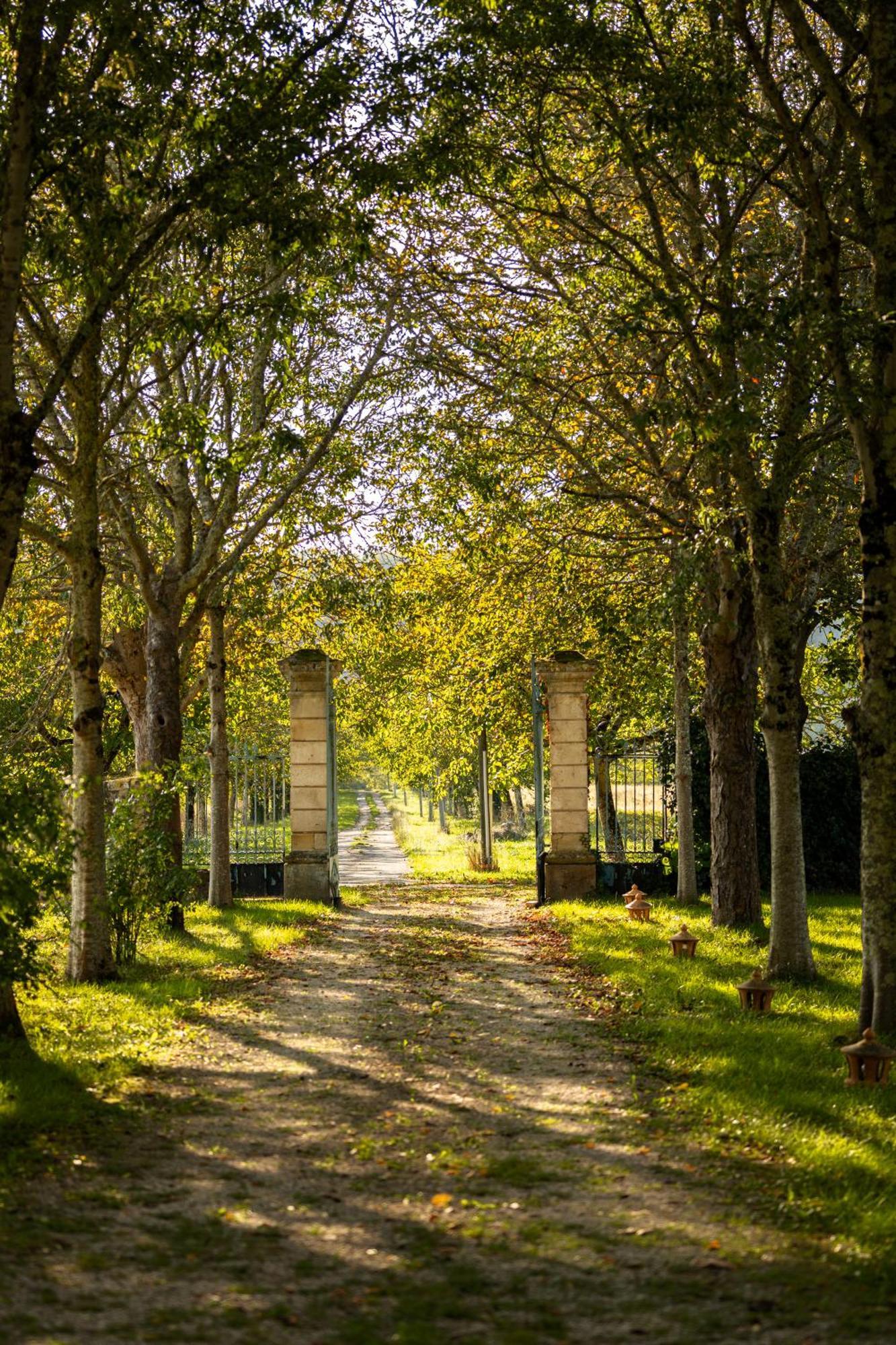 Chateau La Gineste - Castle And Vineyard Duravel Kültér fotó