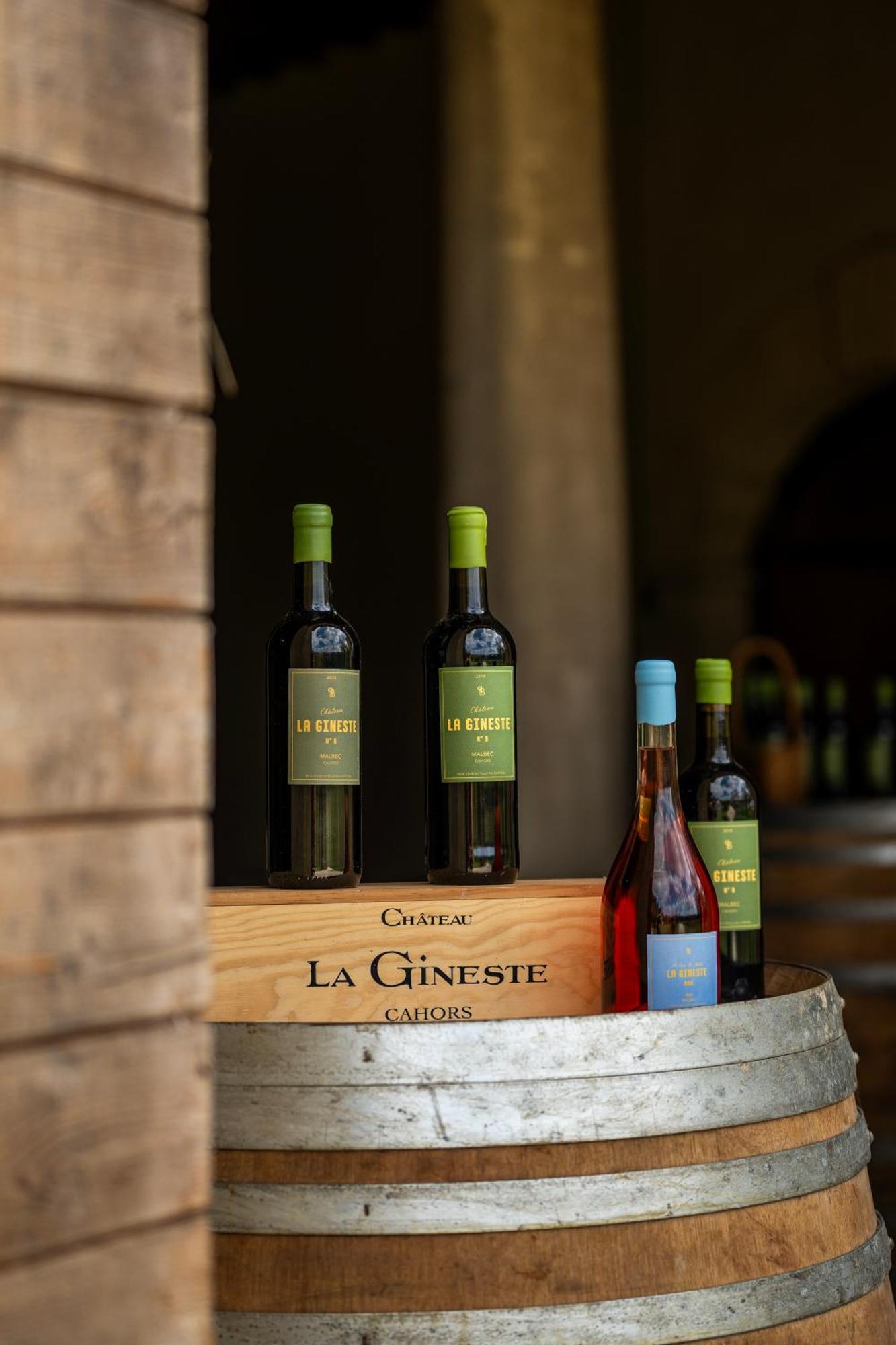 Chateau La Gineste - Castle And Vineyard Duravel Kültér fotó