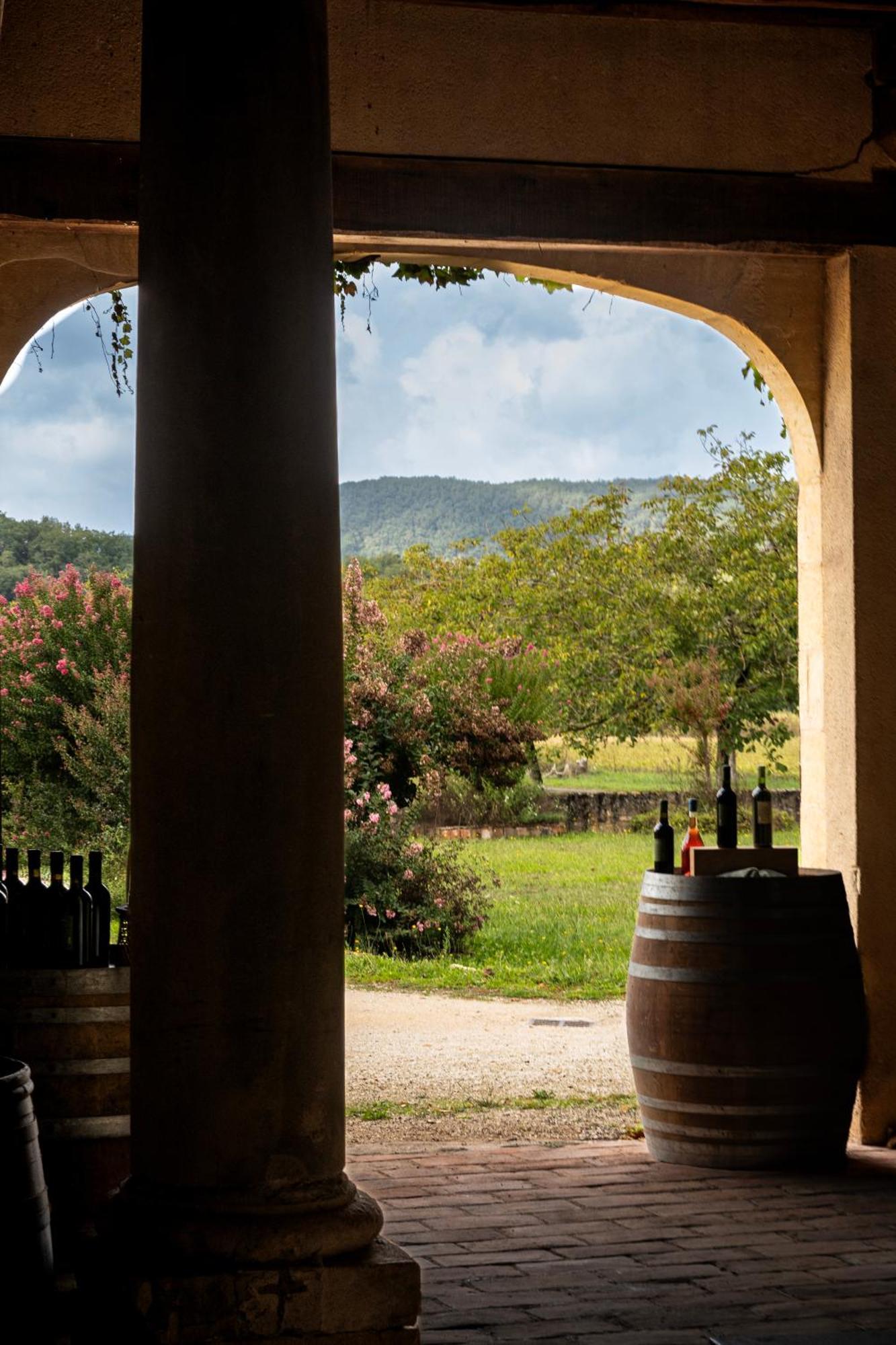 Chateau La Gineste - Castle And Vineyard Duravel Kültér fotó